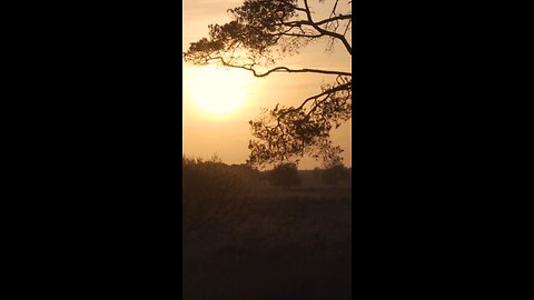 The Sun You See Is 8 Minutes Old! 🌞⏳