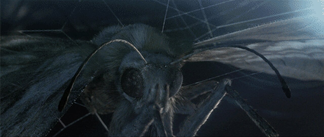 SPIN A WEB - ARTILLERY LOVE (ROUGH DRAFT) rap do homem aranha (nāo quero morrer instrumental)
