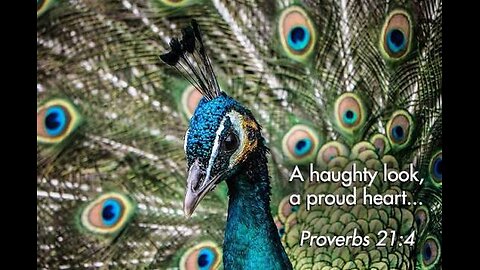 GOD HATES A PROUD HEART: KING NEBUCHADNEZZAR #truth #jesus #mary #joseph #ihs #christ #church #bi