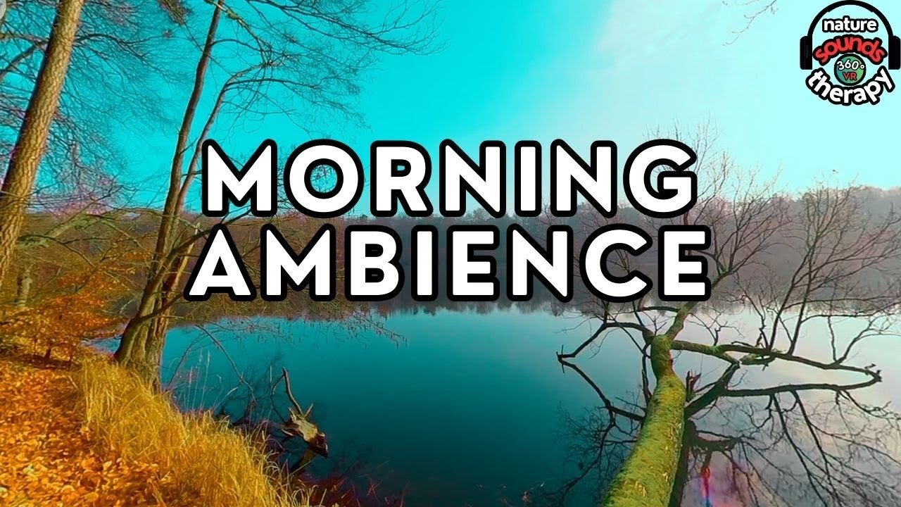 Lake Morning 4K 360 VR Birdsong, Nature, and Tranquility