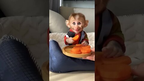 Smiles are the universal sign of love, and baby monkeys have mastered it! 😊🐵