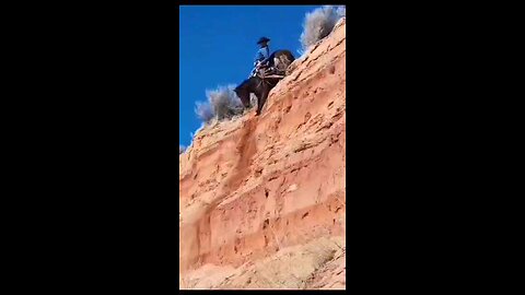 Horse Falling From Mountain 😳😳