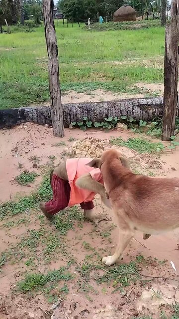 Perfect video SokYaa, OG, Pao & Mom Are Famous Around The World #shorts #anime #trend #edit