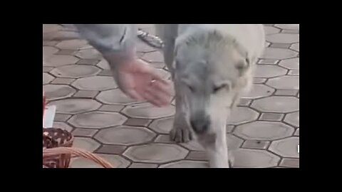 МНОГО ЛЮДЕЙ, МАЛО ЧЕЛОВЕКОВ...