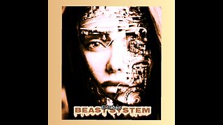 BEAST SYSTEM