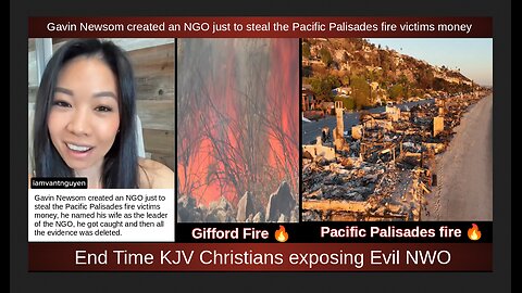 Gavin Newsom created an NGO just to steal the Pacific Palisades fire victims money