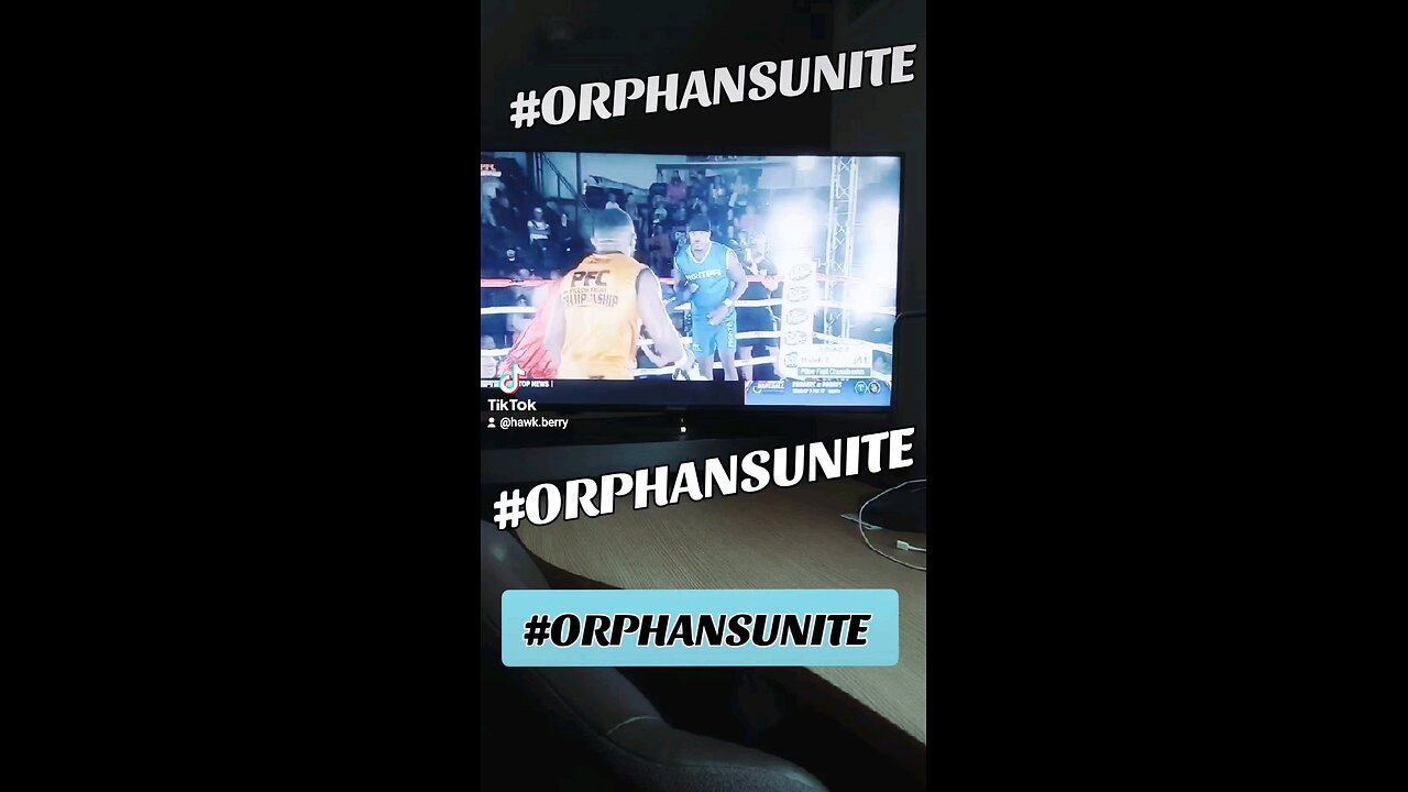 PFC PILLOW FIGHT CHAMPIONSHIP 2025