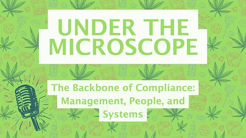 The Backbone of Compliance: Management, People, and Systems