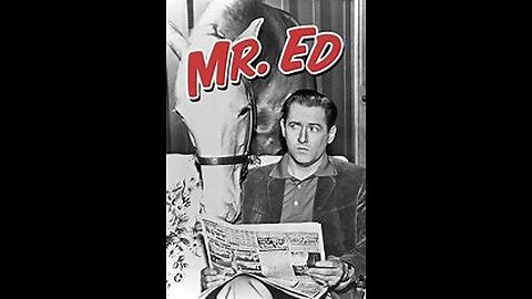 "Mr. Ed" vs "Francis The Talking Mule" which was better !