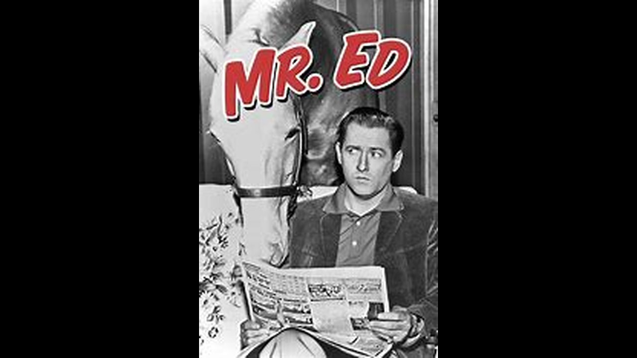 "Mr. Ed" vs "Francis The Talking Mule" which was better !
