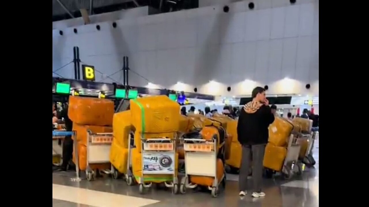 SHOP CHINA 🔸DIRECT THROUGH CUSTOMS 🔸2025