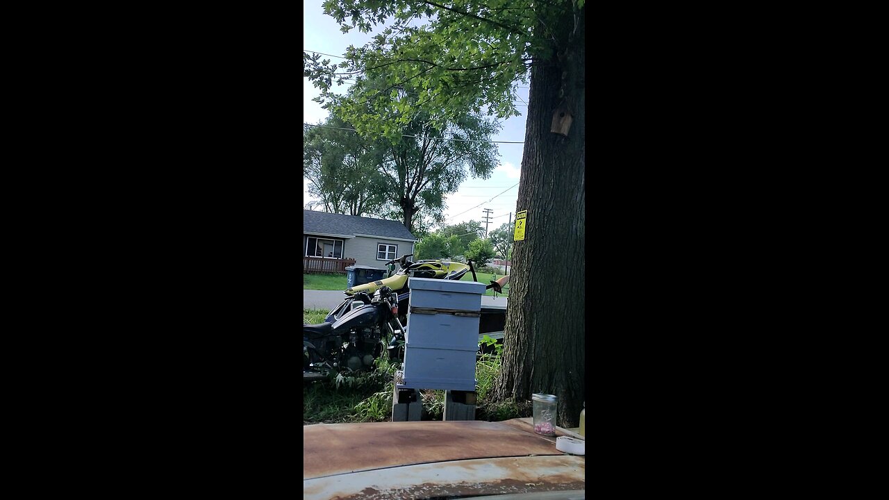 🐝Quick Chk in Shungite Tower 😊🐝2