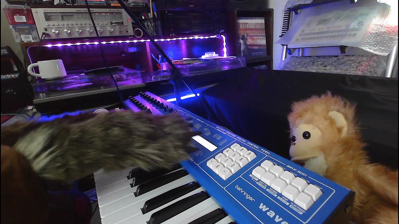 BEHRINGER WAVE | MUPPET | JIM HENSON | NYC RECORDS