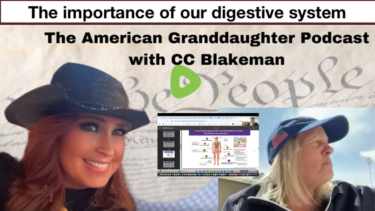 The importance of our digestive system
