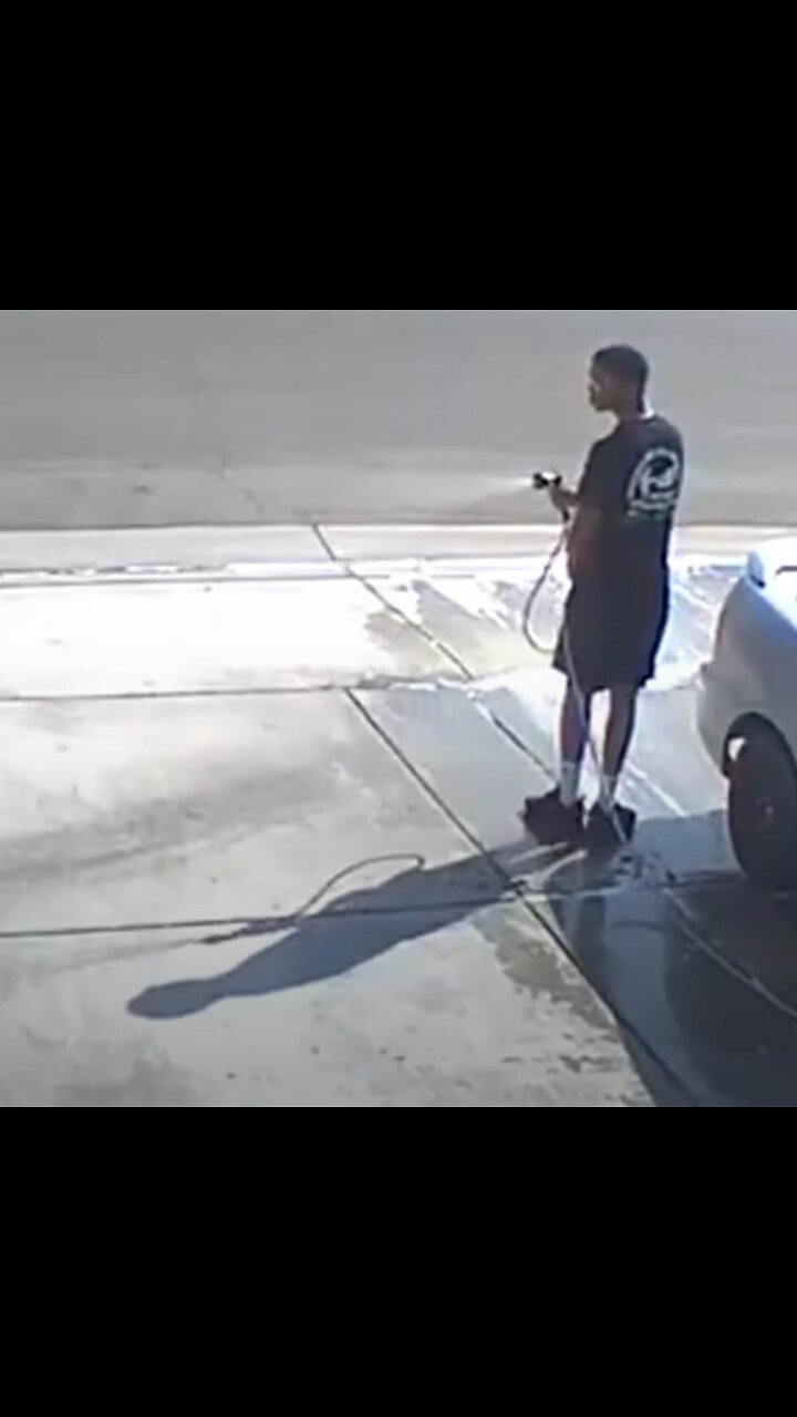 No a todo el mundo le gustan los perros