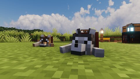 LIVE Minecraft 'N Chill
