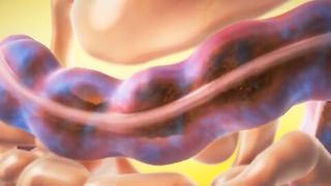 Easy Digestive Problems Fix (Works For Anyone)