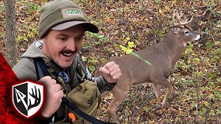 Gnarly Half-Spike Buck at 10 Yards!
