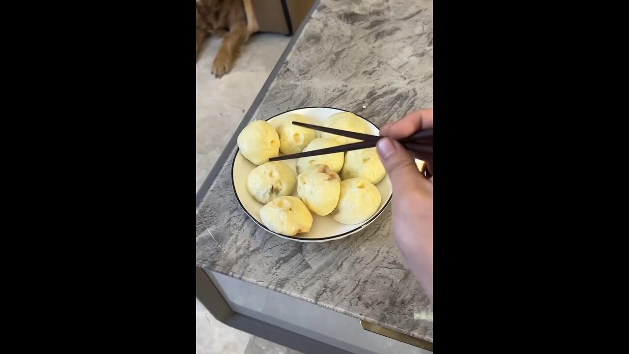 Original Video/ I wasn’t Expecting My Dog was So Celever 😅