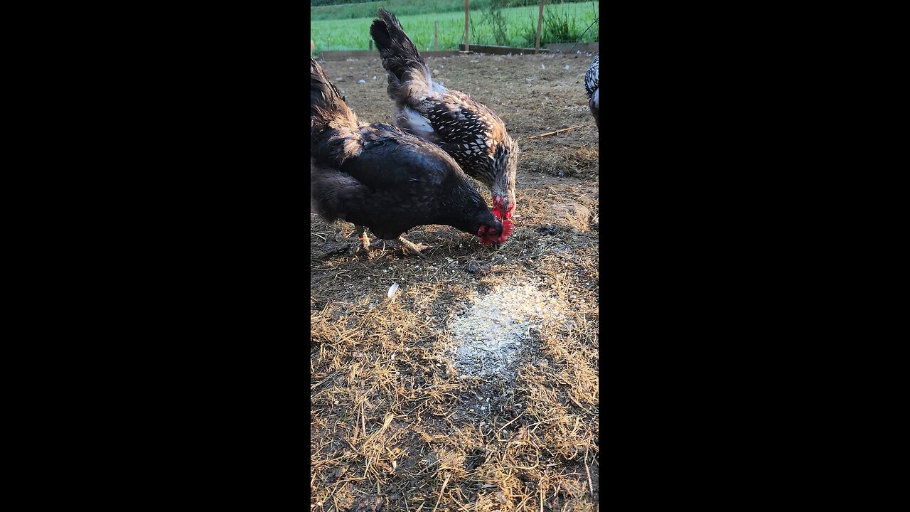 breakfast time