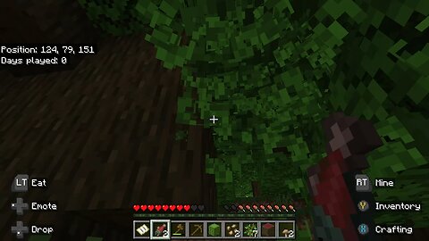 Wandering Through Minecraft With No Real Plan