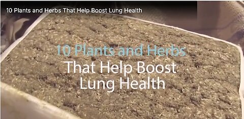 "Lung Health Enhancement: 10 Beneficial Plants and Herbs"