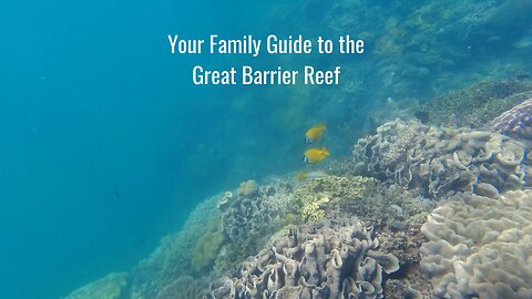 Your Family Guide to the Great Barrier Reef