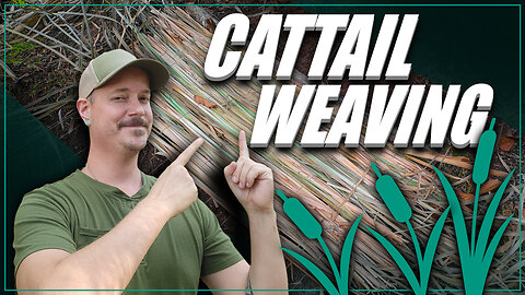 DIY Cattail weaving - Great bushcraft bedroll, roofing, mat, blinds and seat pad!