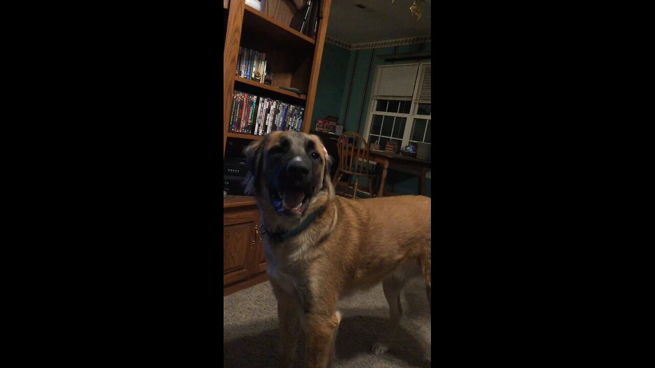 Samson