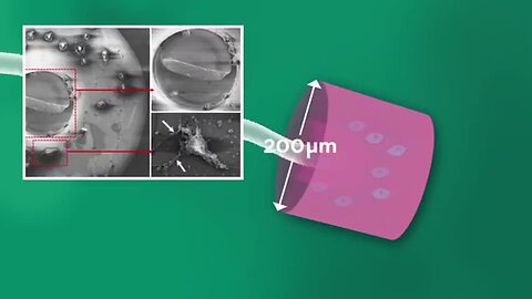 "Revolutionizing Biomedical Science: Hydrogel Microbots Transport Living Cells"
