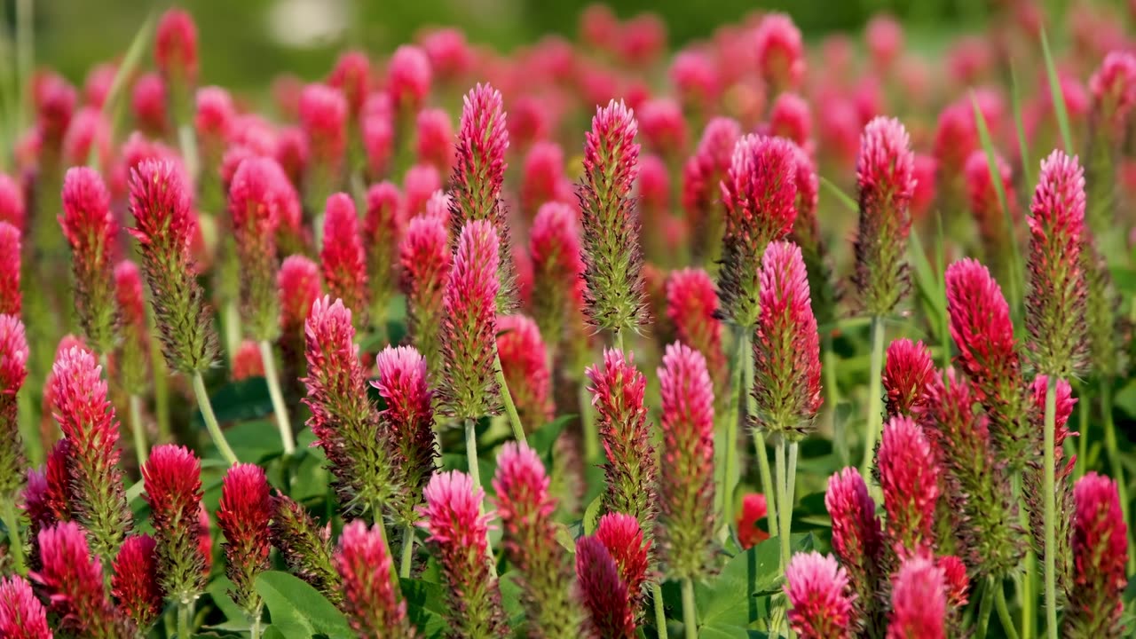 “7 ALABANZAS QUE TRANSFORMAN TU VIDA _ 7 Worship Songs That Will Change Your Life – En Tu Presencia”