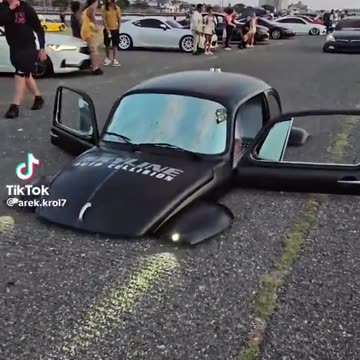 low low rider beetle