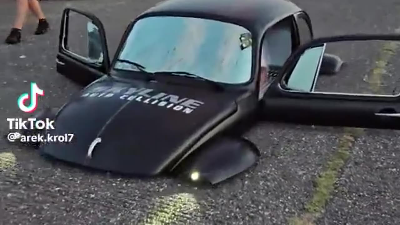 low low rider beetle