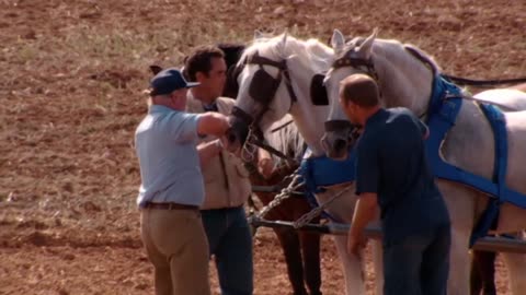 Chariot Racing. A documentary