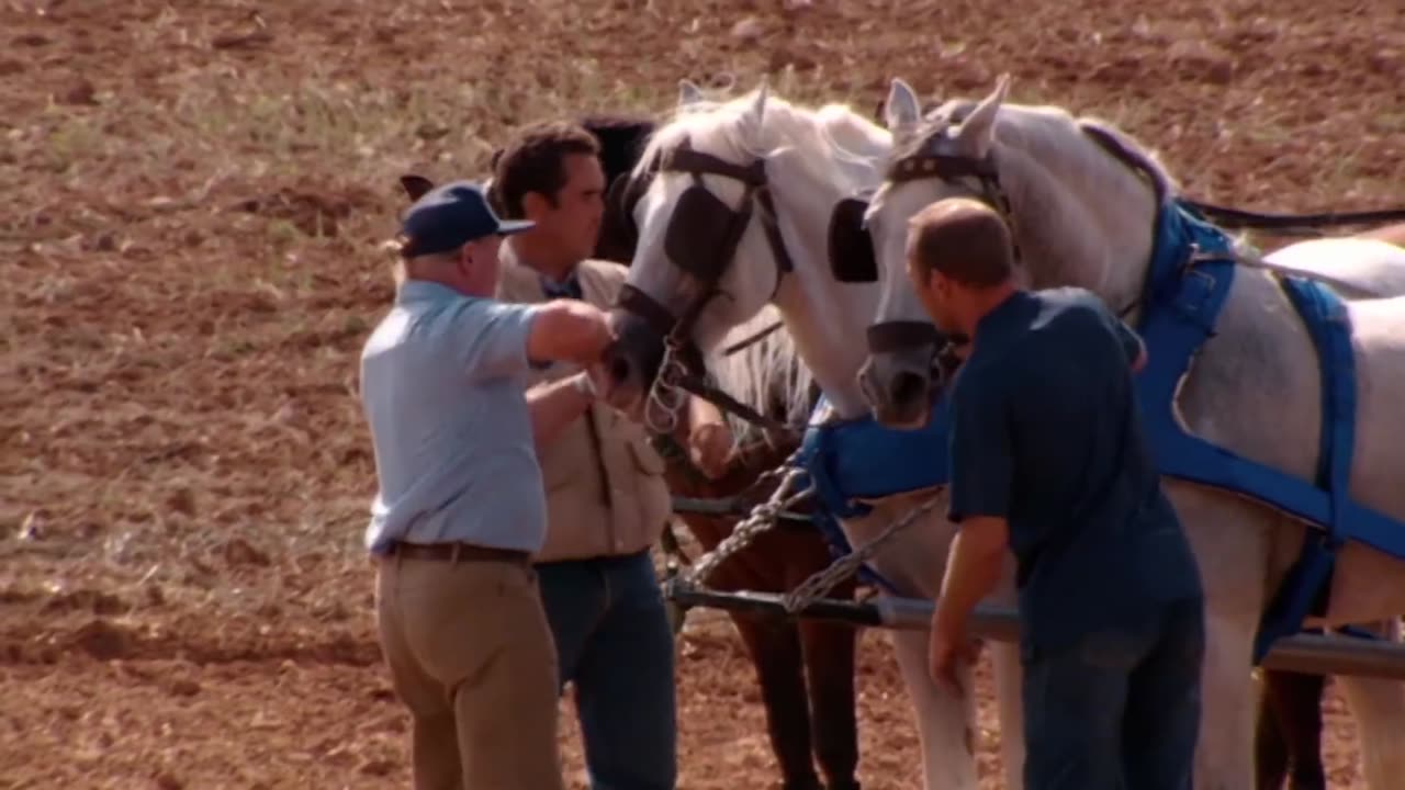 Chariot Racing. A documentary