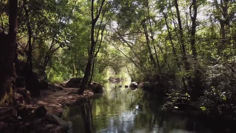 "Difficult roads often lead to beautiful destinations."