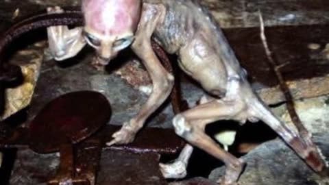THE METEPEC CREATURE EXPLAINED