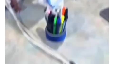 funny daschcund