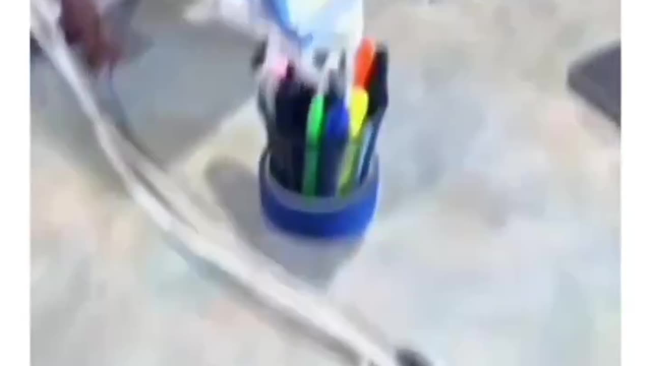 funny daschcund