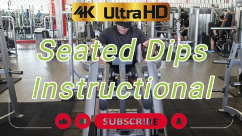 🌴💪 Seated Dips Training in Pattaya 🏋️‍♀️ Strong Arms Anywhere! 🚀 #trainerdavid