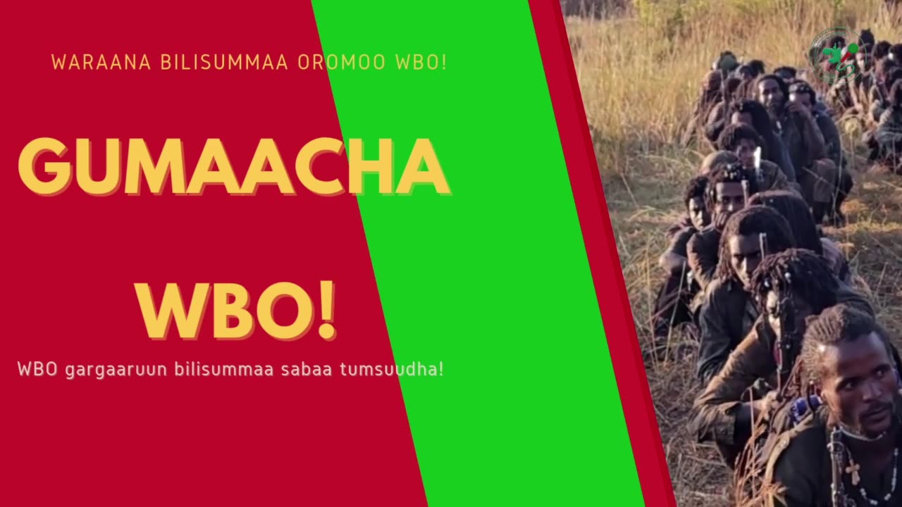 Gabaasa Gumaacha ONM-ABO Hagayya 10-2025 itti dhiyaadhaa!