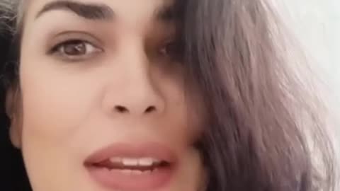 La retroalimentación por Paola Quilodrán Olmedo