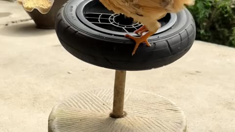 💡👀 Clever Trick for [Something]! | LifeHacksDaily