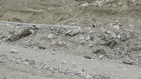 Rare Red Fox Spotted Near Pangong Tso, India