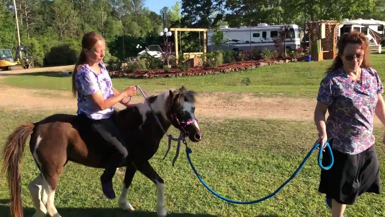 Training A Pony