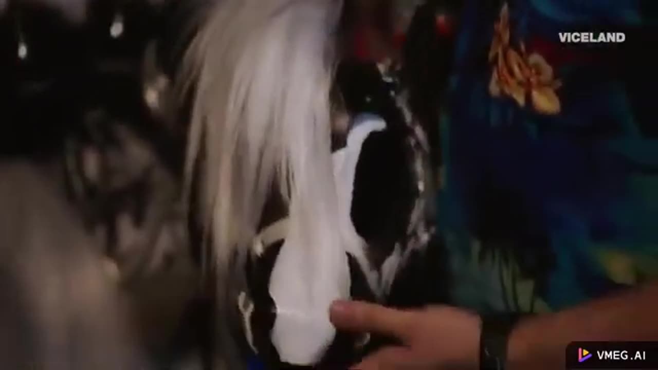 ポニーのセックスプレイ