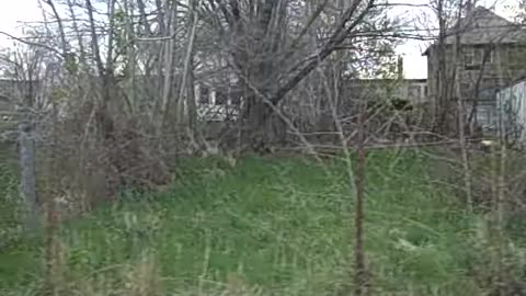 NEW AND OLD PROPERTY ON THE SHEA SHOW