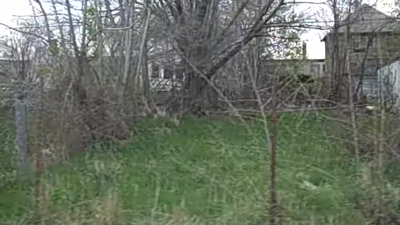 NEW AND OLD PROPERTY ON THE SHEA SHOW
