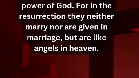 Journey of faith and spiritual growth Matthew 22:29-30 Daily Bible Verse
