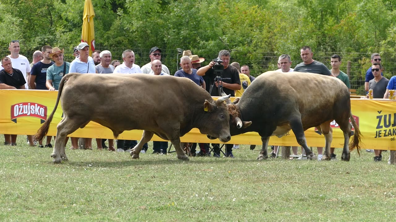 Lugo od Lončara i Galića vs Zećo od Admira Čaje Grude 2025